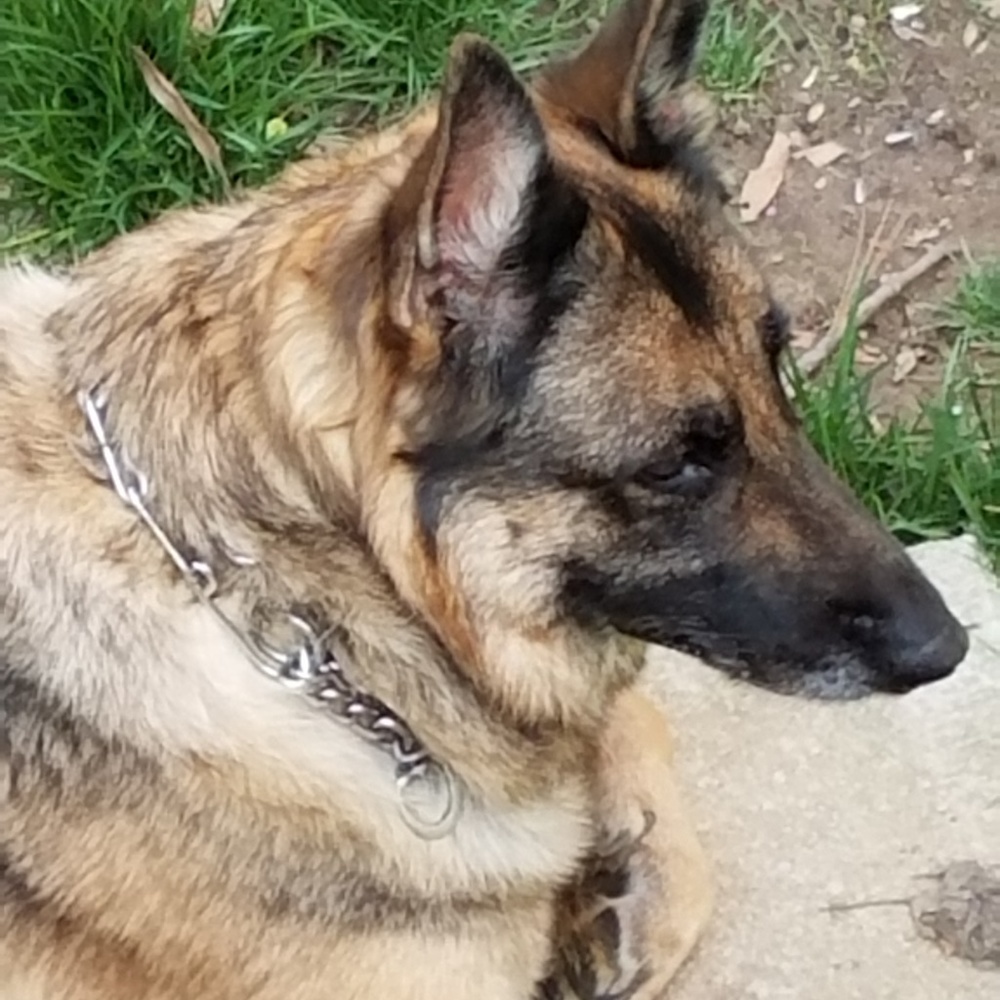 NFS...how can you part w/your heart?